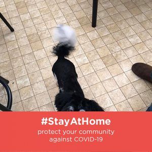 Meet your Posher, Kathy